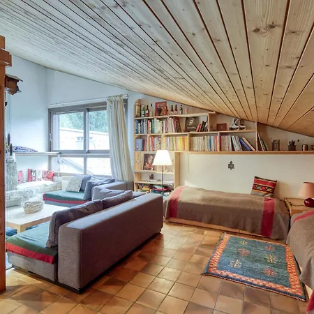 Apartment Le Grenier - Happy *